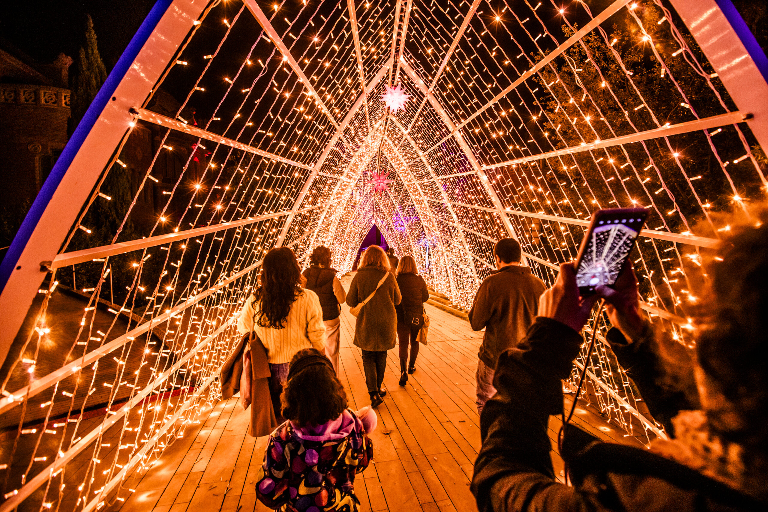 Christmas Garden Berlin 2019 | Field of Lights ©Christmas Garden/Michael Clemens